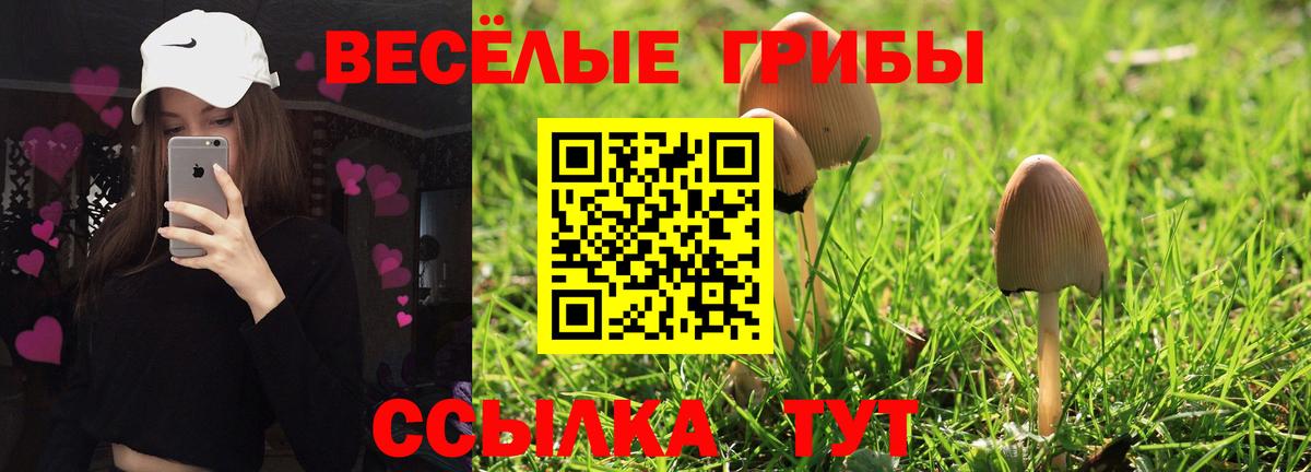 Псилоцибиновые грибы мицелий  Псилоцибиновые грибы Magic Shrooms  Волгоград  Вход с VPN 